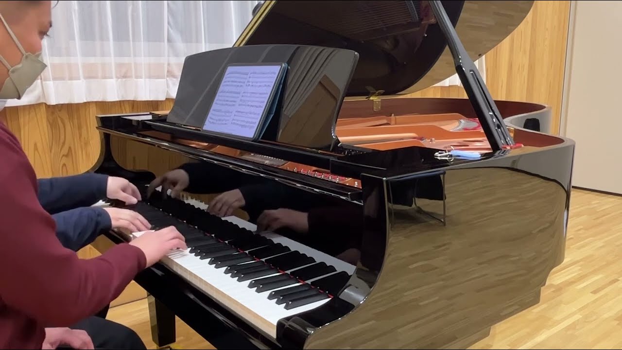 Les Frères : Disney Princess Medley ／ レ・フレール：ディズニー
