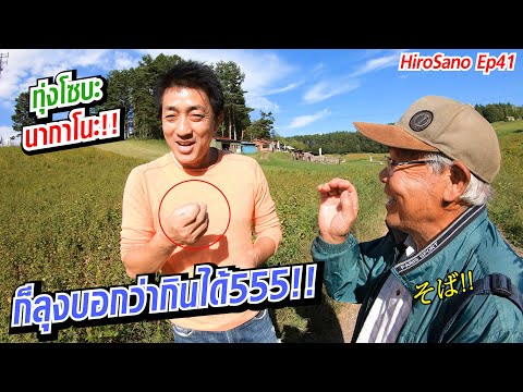 นากาโนะ เมืองที่มีเทือกเขาและทุ่งโซบะที่สวยงาม Nagano | HiroSano | Ep41