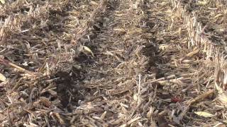 Starter & Pop-Up Fertilizer (From Ag PhD #576 4/19/09)