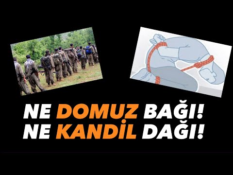 SÖZ VERDİK BİZ -NE DOMUZ BAĞI! NE KANDİL DAĞI!-ÇOK ANLAMLI BİR ESER MUTLAKA DİNLEYİN