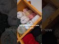 yarn and baby birds