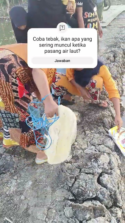 Ketika nenek jago menjala ikan. #ikan
