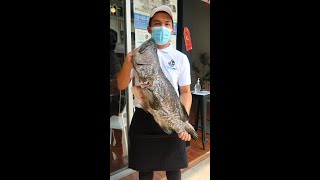MALAYSIAN SEAFOOD - Giant Sabah Grouper (Sabah Keratang) @ Keratang Sabah Kota Damansara, PJ