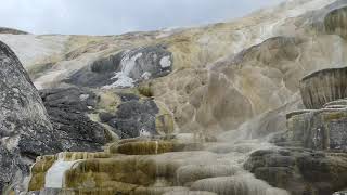 Mammoth Hot Springs 4 Awesome - Yellowstone Natl Park