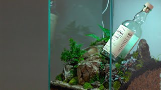 Let's make a terrarium in a cozy whiskey bar! by 내츄럴팟 NATURALLPOT 5,910 views 1 year ago 6 minutes, 44 seconds