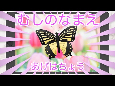 【子供向け 昆虫図鑑】むしさんの名前を覚えよう！昆虫がいないいないばぁ！赤ちゃんが喜ぶ、泣き止む hide and seek!