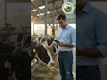 AI डेयरी फार्मिंग 2026 | AI से बढ़ेगा दूध उत्पादन | स्मार्ट डेयरी फार्म का भविष्य #aigovernment