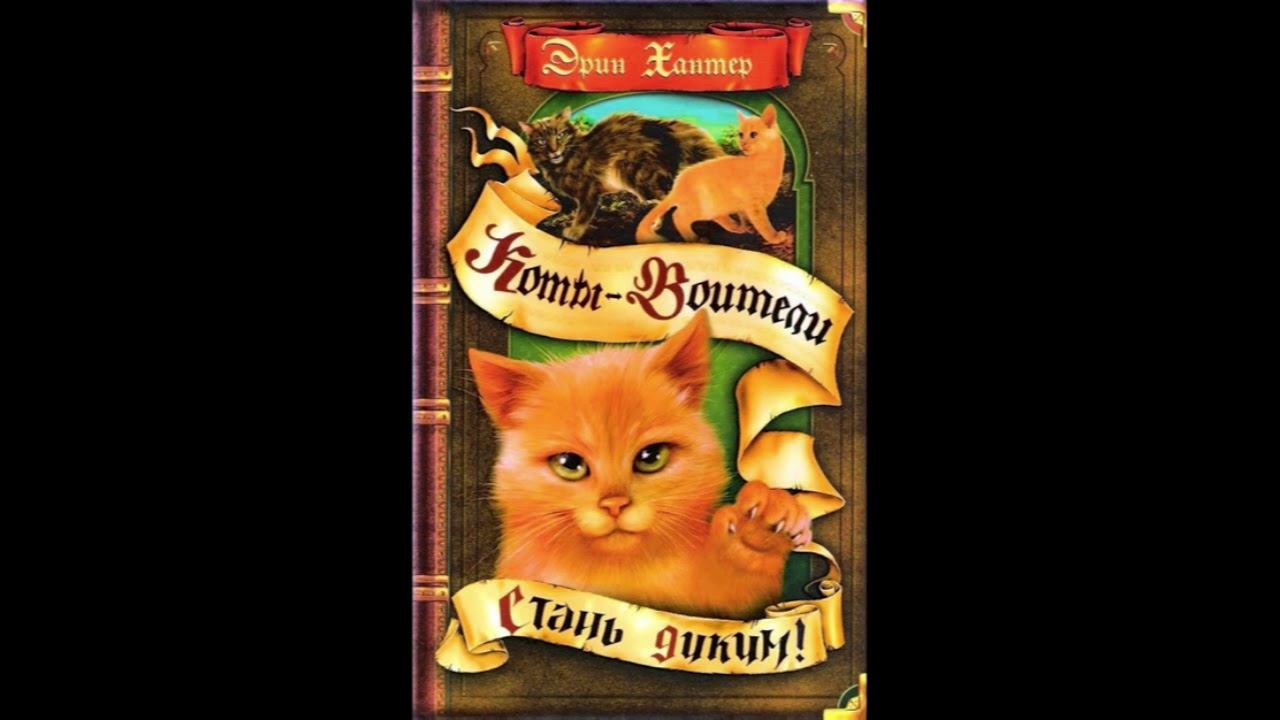 Карта коты воители стань диким