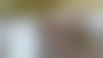 Cat Dissection of the Muscular System- Thigh (4)