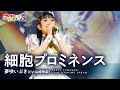 【LIVE MV】細胞プロミネンス / 夢咲いぶき 【ウタヒメドリーム】 (CV:山﨑玲奈)   From「ウタヒメドリーム」史上最大の3rdライブ~超重大発表を現地で皆様と~
