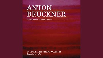 Quartet in C Minor, WAB 111: I. Allegro moderato