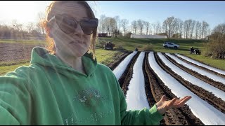 Building My Cut Flower Beds with a Mulch Layer, Double Drip System : Flower Hill Farm