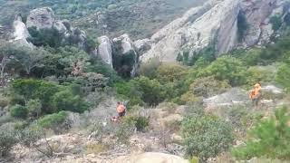 Suelta de Rehalas
