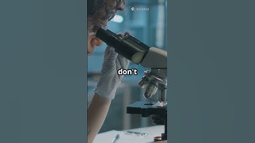 How Animals Navigate. #AnimalNavigation #BirdMigration #SeaTurtles #ScienceExplained #NatureWonders