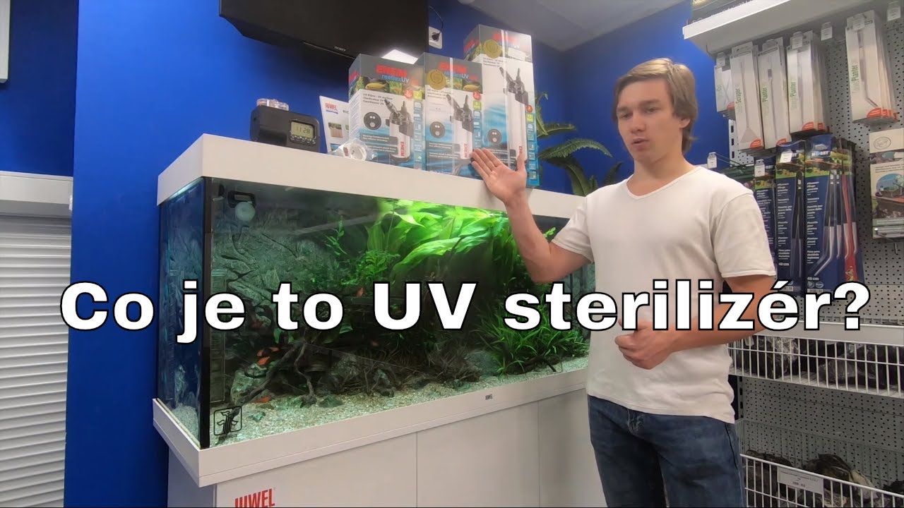 Jak používat UV lampu v akváriu?