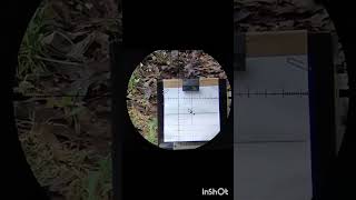 Skunk Works Rifle inline air regulator Zelos 16 yards 🇺🇸🦨