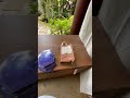 НАРОД ПРИБЫВАЕТ :) ...