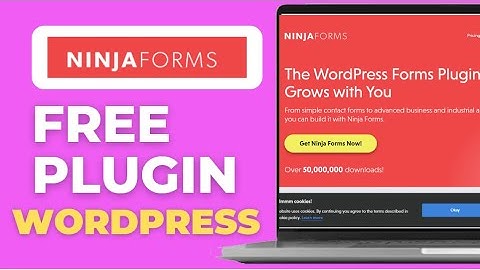 How to Install Free Ninja Forms Plugin in WordPress