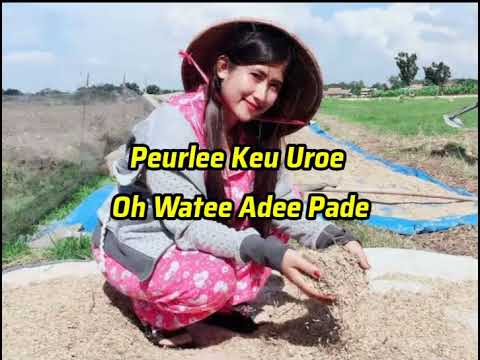 Panton Aceh Terbaru - Peurle keu tgk oh watee matee ma