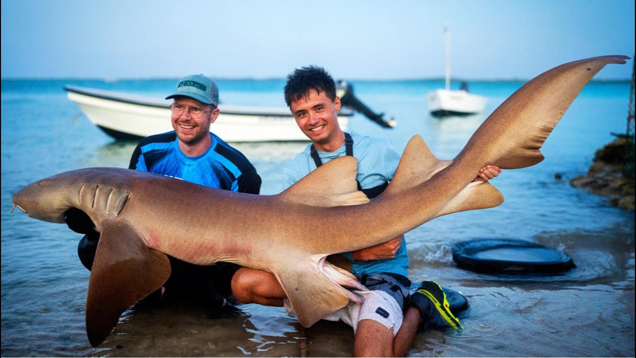 Monster Vis Wat Een Monster Vis! - Vissen In Bonaire 2.0 - Part 3 Of 6 - YouTube