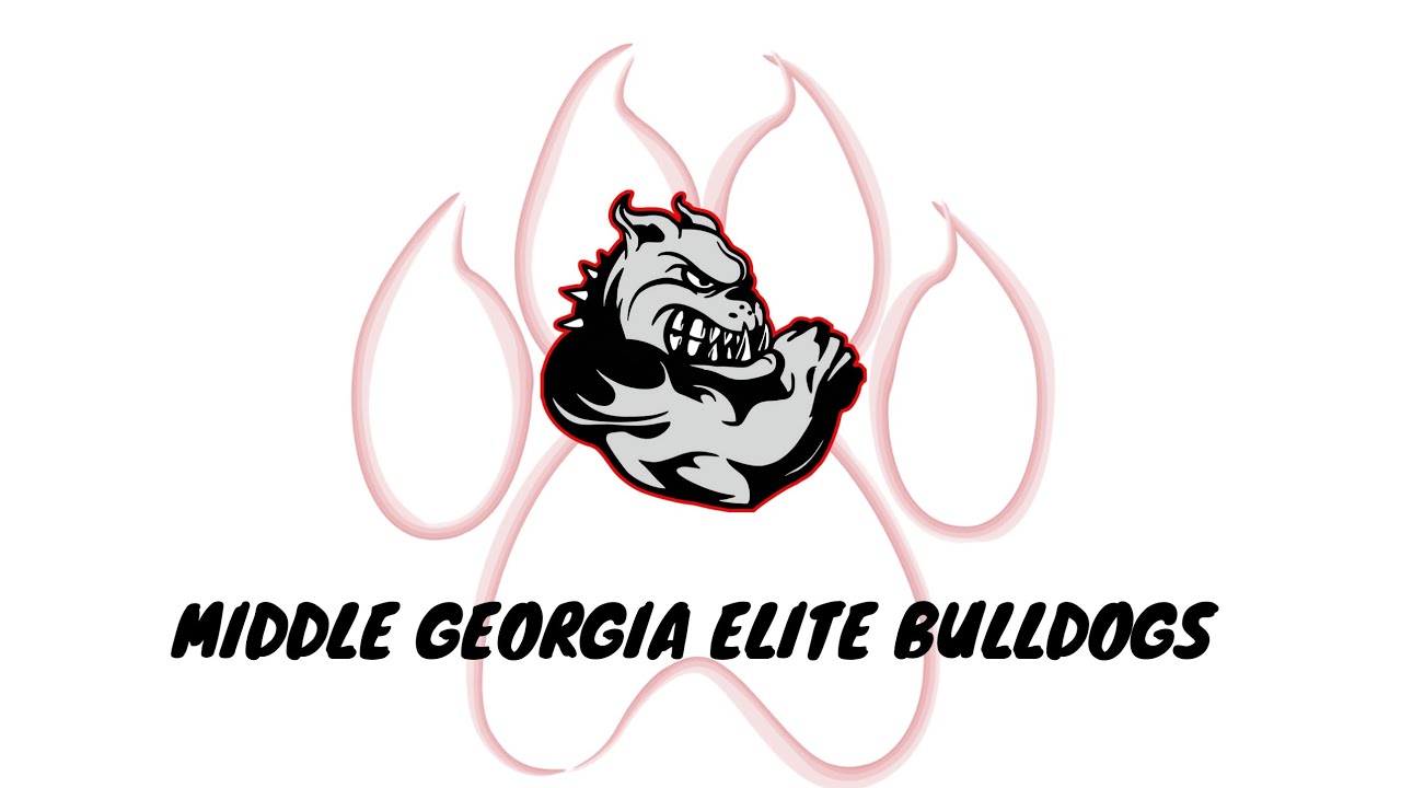 Middle Georgia Elite vs. Middle Georgia Stingers 11U