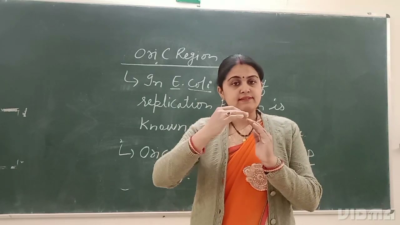 Origin of replication region Ori C of prokaryotic organisms.
