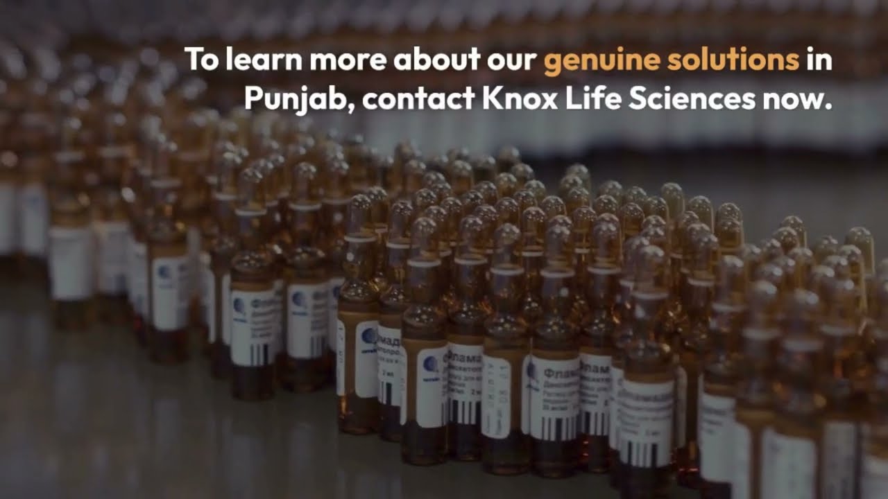Third Party Manufacturing Pharma Companies in Punjab