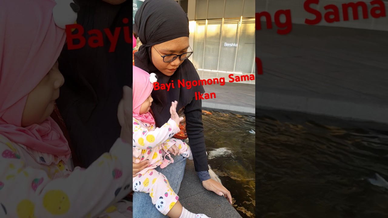 Kolam Ikan di Central Park Mall Jakarta - YouTube