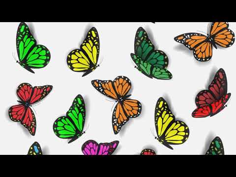 Break Free Connect