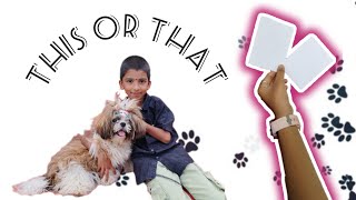 This or That challenge with Karna🤞||Kannada Vlogs|| #shihtzu #lifestyle