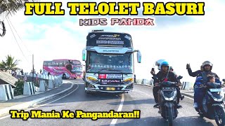 Artis Bus Tunggal Jaya Kids Panda Hebohkan Pangandaran! Full Basuri x Alzifa x Manual di Kombinasi🔥