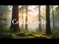 🌲 Cedar Circle — Gentle Forest Reflections & Ambient Piano 💚 | Healing Soundscape for Calm Focus 🌿