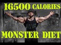 16500 calories DAILY! MONSTER DIET of Illia GOLEM!