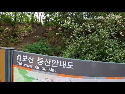 초등학교 동창 모임