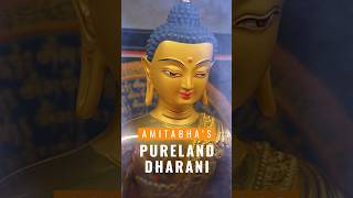 Amitabha’s pure land Dharani Sanskrit chanted shorts Purification and healing long mantra