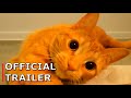 Official trailer  ginger the spoiled cat