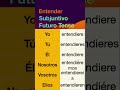 How to conjugate Spanish verb Entender (to understand) in Subjuntivo Futuro tense.