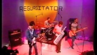 Regurgitator - 11-22-97 Recovery