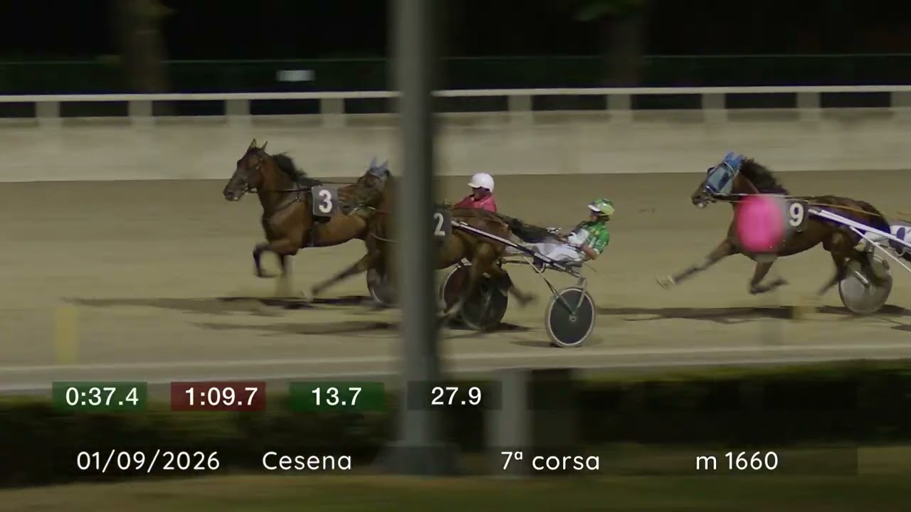 2026 09 01 | Corsa 7 | Metri 1660 | Premio Irunda