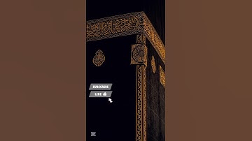 آيات من القرآن الكريم | تلاوة خاشعة مؤثرة تريح القلب وتشرح الصدر