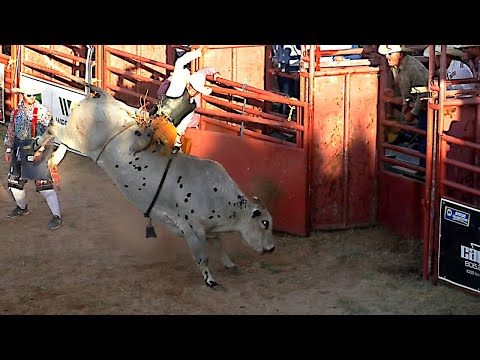 bull-riding-round-1---2019-bar