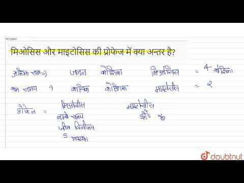 वीडियो: प्रोफ़ेज़ के दौरान माइटोसिस और अर्धसूत्रीविभाजन में क्या अंतर है?