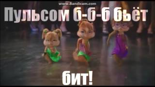 ะัะตั ะะธั - Chipettes MEP