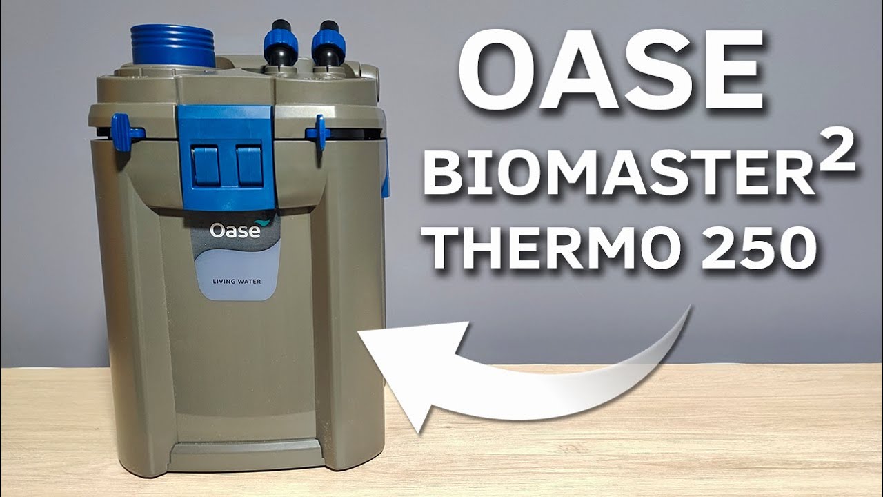 Filtro Oase BioMaster² Thermo 250 | Montaje, Puesta en Marcha y Opinión Tras 2 Años
