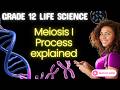 Life Sciences Grade 12 | Meiosis I Process Explained 🧬
