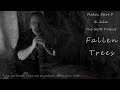 Fallen Trees (Original) - The SWR Project