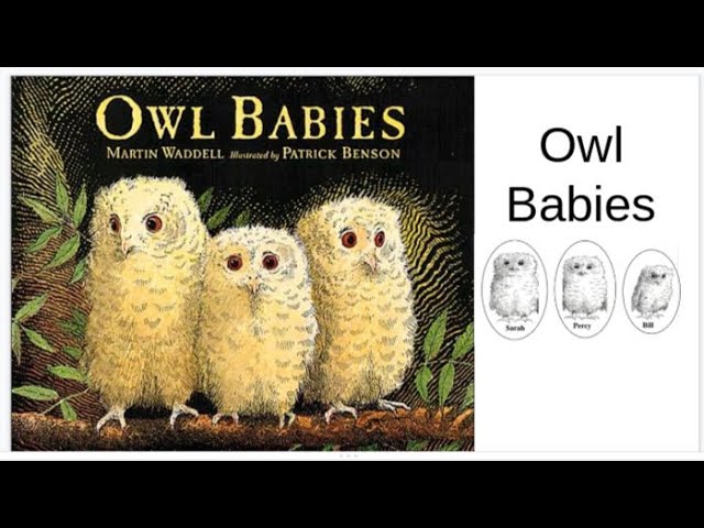 Owl Babies, a story read for children - YouTube