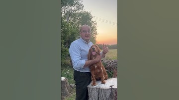 Why Is The 12th August So Famous For Shooting?