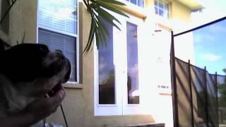 Capture 20120312 2