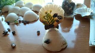 DIY Crafts With Seashells